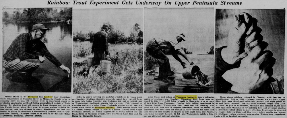 Thompson State Fish Hatchery - June 1955 Article (newer photo)